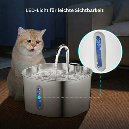 PureFlow – Endlich sicher sein, dass dein Vierbeiner genug trinkt