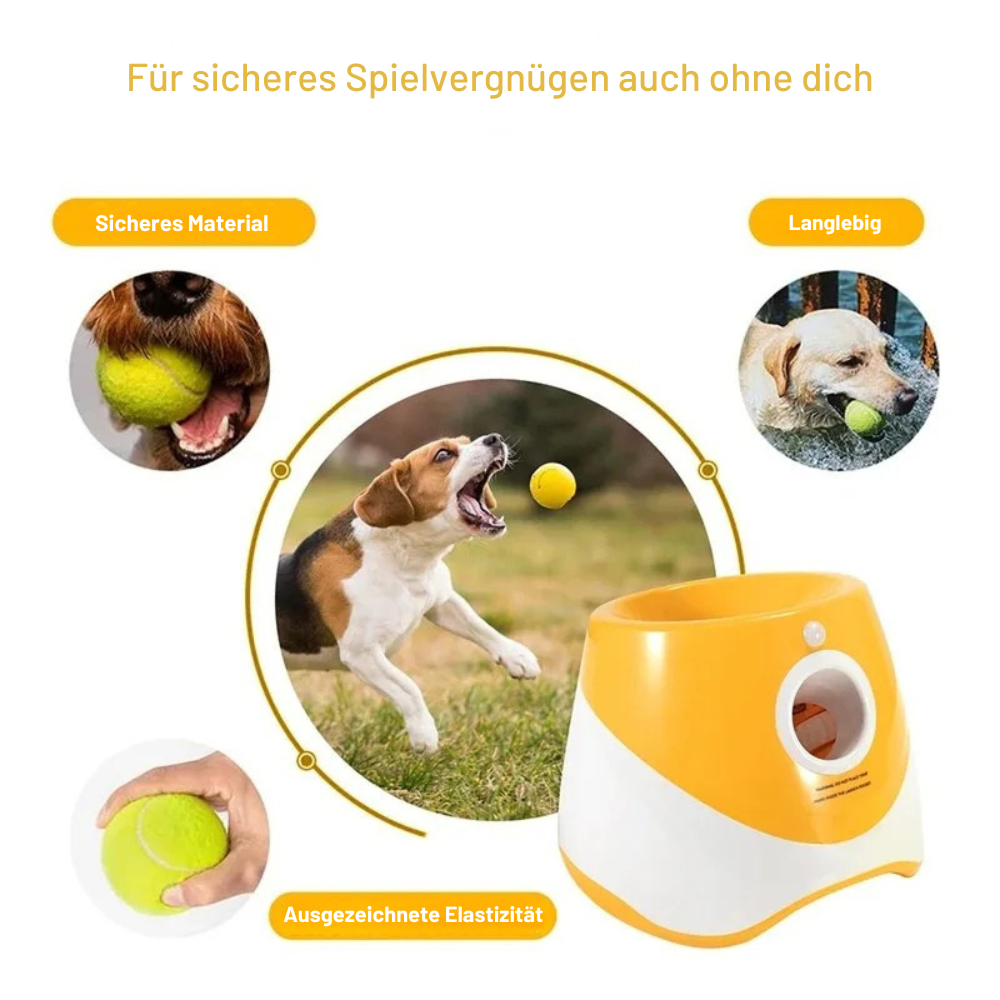 WuffWurf - Weil deine Fellnase mehr Freude verdient