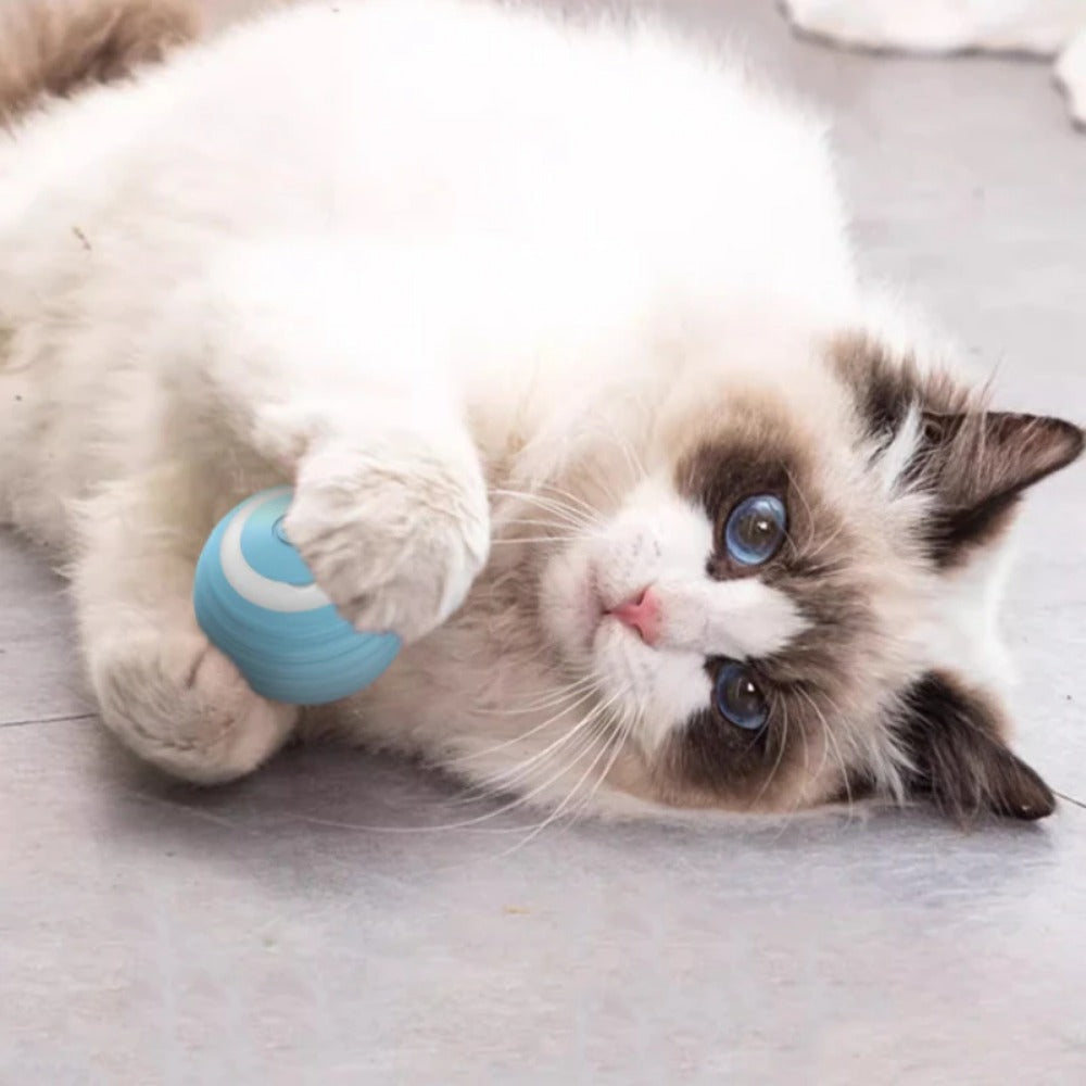 Katzenball Elektrisch 🐾 – Smarter Spaß für Katzen